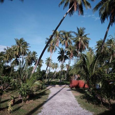 Coconut Tree Homestay Ban Wa Thon 外观 照片