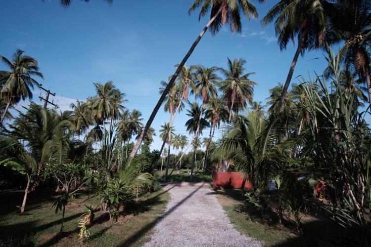 Coconut Tree Homestay Ban Wa Thon 外观 照片